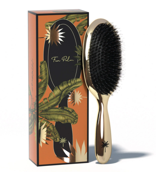 Fan Palm - Medium Hollywood - Hairbrush